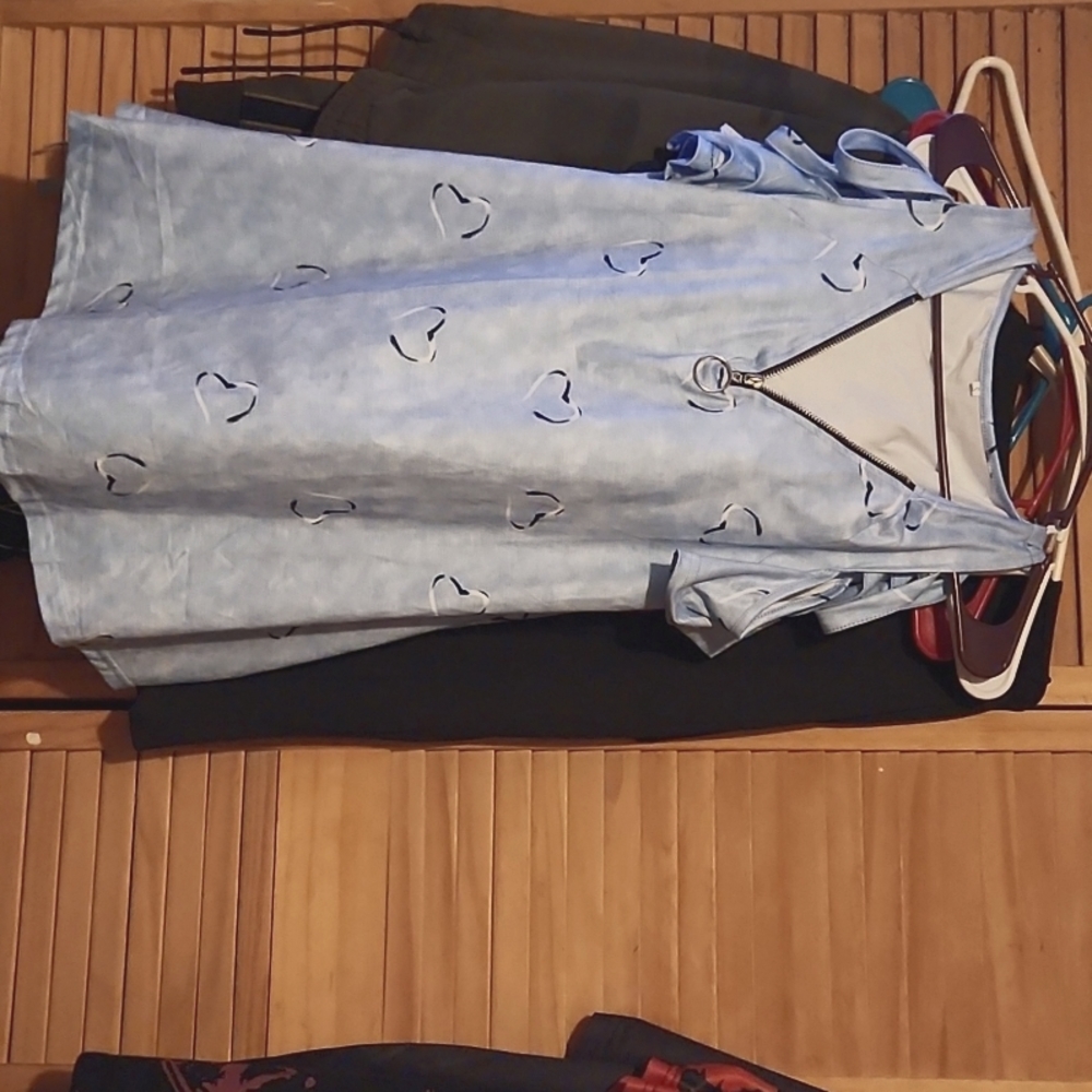 Lady's top